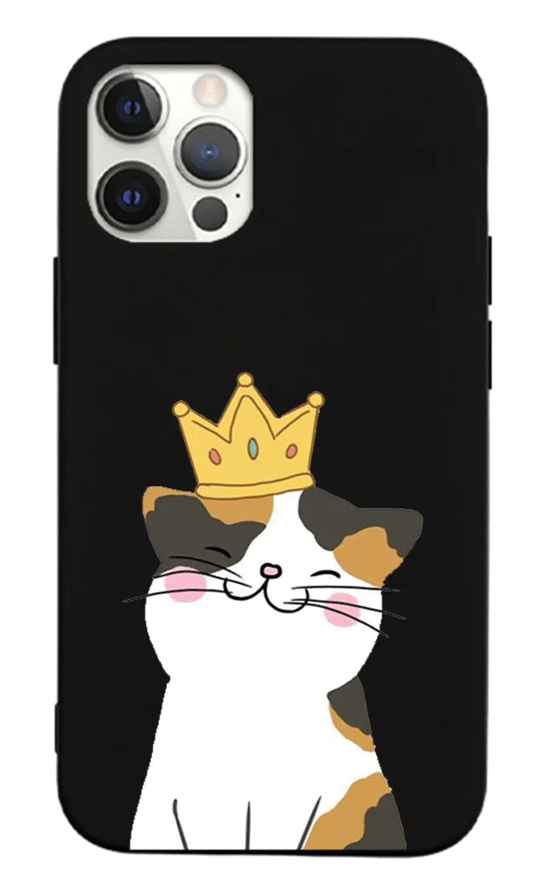 iPhone 12 Pro Lansman Kılıf - Kedi